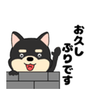 【毎日使える】敬語柴犬のしば吉23（個別スタンプ：6）