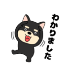 【毎日使える】敬語柴犬のしば吉23（個別スタンプ：12）