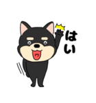 【毎日使える】敬語柴犬のしば吉23（個別スタンプ：13）