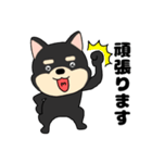 【毎日使える】敬語柴犬のしば吉23（個別スタンプ：24）