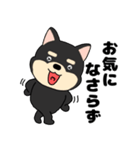 【毎日使える】敬語柴犬のしば吉23（個別スタンプ：31）