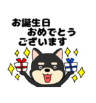 【毎日使える】敬語柴犬のしば吉23（個別スタンプ：40）