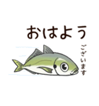 鯵のアジな日常（個別スタンプ：1）
