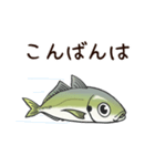 鯵のアジな日常（個別スタンプ：3）