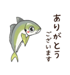 鯵のアジな日常（個別スタンプ：4）