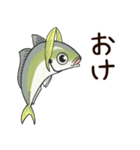 鯵のアジな日常（個別スタンプ：14）