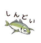 鯵のアジな日常（個別スタンプ：20）