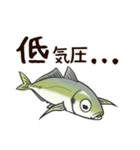鯵のアジな日常（個別スタンプ：21）