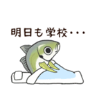 鯵のアジな日常（個別スタンプ：36）