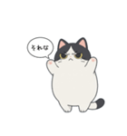 「それな」ぽっちゃりネコ（個別スタンプ：1）