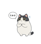 「それな」ぽっちゃりネコ（個別スタンプ：3）
