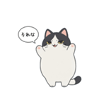 「それな」ぽっちゃりネコ（個別スタンプ：4）