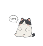 「それな」ぽっちゃりネコ（個別スタンプ：7）