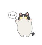 「それな」ぽっちゃりネコ（個別スタンプ：9）