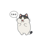 「それな」ぽっちゃりネコ（個別スタンプ：12）