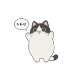 「それな」ぽっちゃりネコ（個別スタンプ：13）