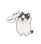 「それな」ぽっちゃりネコ（個別スタンプ：14）