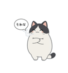 「それな」ぽっちゃりネコ（個別スタンプ：15）