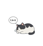 「それな」ぽっちゃりネコ（個別スタンプ：16）