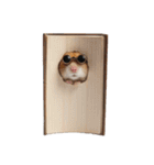 スパイ☆ハムスター（個別スタンプ：25）