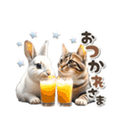 【動く】うさぎとネコ ミーム リアル（個別スタンプ：2）