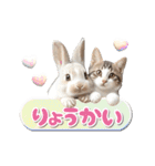 【動く】うさぎとネコ ミーム リアル（個別スタンプ：5）