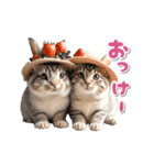 【動く】うさぎとネコ ミーム リアル（個別スタンプ：6）