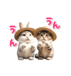 【動く】うさぎとネコ ミーム リアル（個別スタンプ：9）