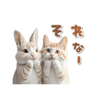 【動く】うさぎとネコ ミーム リアル（個別スタンプ：10）