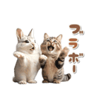 【動く】うさぎとネコ ミーム リアル（個別スタンプ：12）