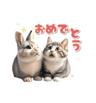 【動く】うさぎとネコ ミーム リアル（個別スタンプ：15）