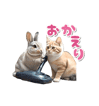 【動く】うさぎとネコ ミーム リアル（個別スタンプ：20）