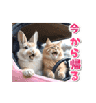【動く】うさぎとネコ ミーム リアル（個別スタンプ：21）