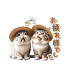 【動く】うさぎとネコ ミーム リアル（個別スタンプ：22）
