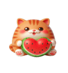 スイカ猫の超ハチャメチャ日常（個別スタンプ：13）