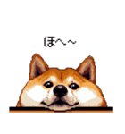 やる気の出ないネガティブ 太っちょ柴犬（個別スタンプ：3）