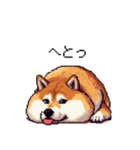 やる気の出ないネガティブ 太っちょ柴犬（個別スタンプ：7）