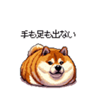 やる気の出ないネガティブ 太っちょ柴犬（個別スタンプ：8）