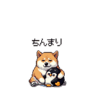 やる気の出ないネガティブ 太っちょ柴犬（個別スタンプ：9）