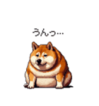 やる気の出ないネガティブ 太っちょ柴犬（個別スタンプ：10）