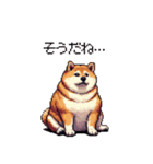 やる気の出ないネガティブ 太っちょ柴犬（個別スタンプ：11）
