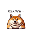 やる気の出ないネガティブ 太っちょ柴犬（個別スタンプ：13）