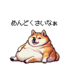 やる気の出ないネガティブ 太っちょ柴犬（個別スタンプ：14）