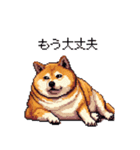 やる気の出ないネガティブ 太っちょ柴犬（個別スタンプ：15）