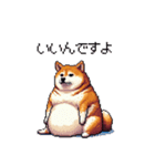 やる気の出ないネガティブ 太っちょ柴犬（個別スタンプ：16）