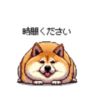 やる気の出ないネガティブ 太っちょ柴犬（個別スタンプ：19）