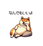 やる気の出ないネガティブ 太っちょ柴犬（個別スタンプ：20）