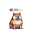 やる気の出ないネガティブ 太っちょ柴犬（個別スタンプ：22）
