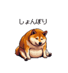やる気の出ないネガティブ 太っちょ柴犬（個別スタンプ：23）