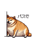 やる気の出ないネガティブ 太っちょ柴犬（個別スタンプ：24）